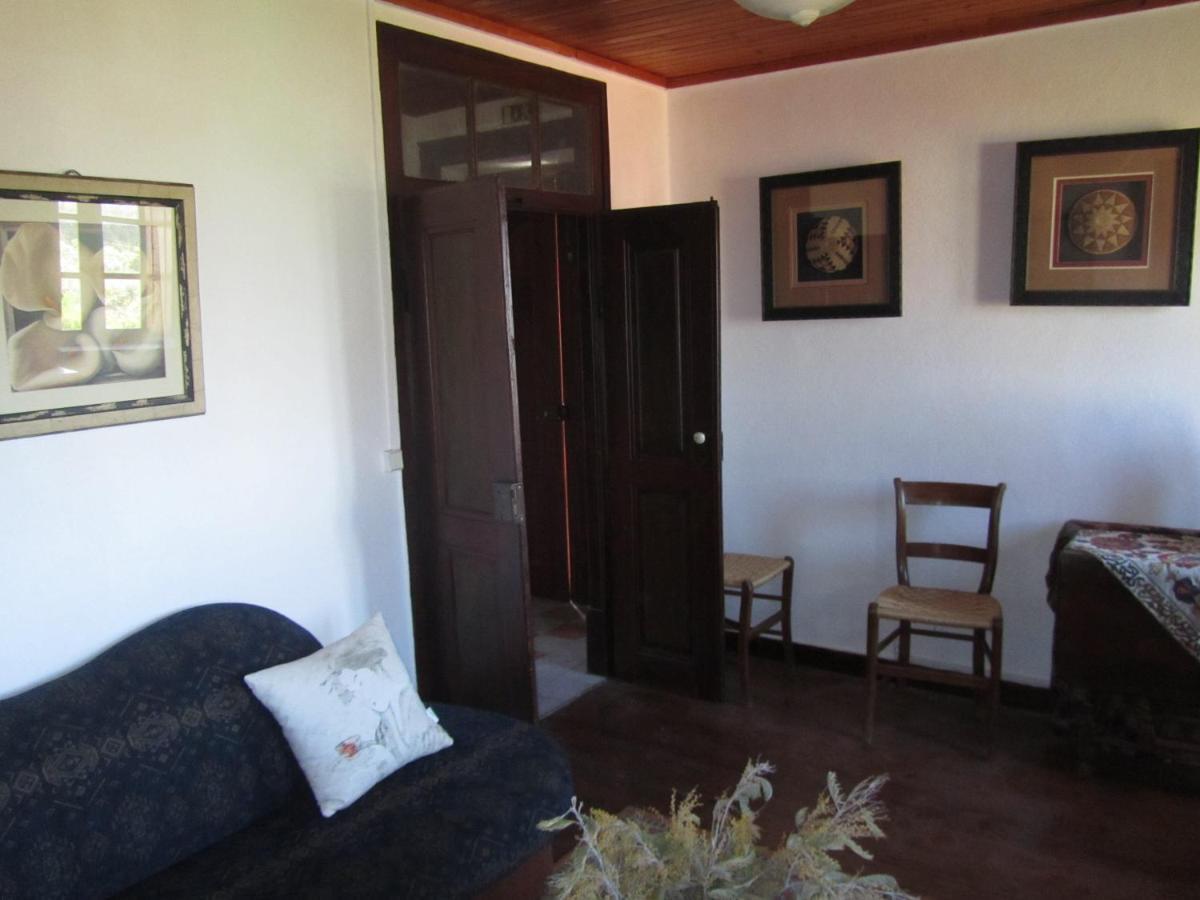 Апартаменти Casa Amarela Sao Pedro de Tomar Екстер'єр фото